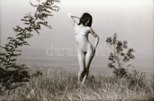 cca 1971 Privát portfóliók szolidan erotikus felvételei, 10 db vintage negatív (24x36 mm), + 4 db vi...