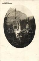1935 Sinaia, Castelul Peles, Editura B. Hirsch & L. Schor / castle, photo