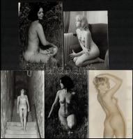cca 1975 Azonosságok és különbségek, szolidan erotikus felvételek, 6 db vintage negatív (24x36 mm és 6x6 cm), + 5 db vintage fotó, 14x9 cm