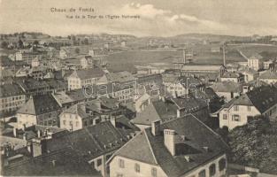 La Chaux-de-Fonds, Vue de la Tour de lEglise Nationale / city view