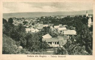 Olthévíz, Homoród-Hévíz, Hoghiz; Foto F. Theil - 2 db régi képeslap / 2 pre-1945 postcards