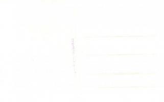 Kovászna, Covasna; Horgász-forrás. Hadnagy bazár kiadása / spring. Foto Turul