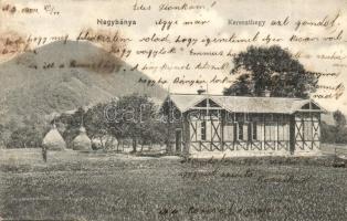 1904 Nagybánya, Baia Mare; Kereszthegy, ház. Rózsa Simon kiadása / house