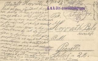 1918 Cs. és kir. 588. Kiképzőcsoport katonáinak csoportképe / WWI K.u.K. Div. Ausbildungsgruppe, sol...