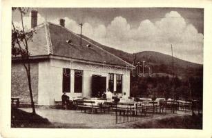 11 db RÉGI magyar képeslap, közte Szombathely, Várpalota, Sopron, Győr / 11 pre-1945 Hungarian postc...