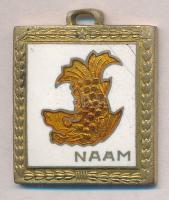 DN NAAM zománcozott fém medál (24x29mm) T:1- ND NAAM enamelled metal medal (24x29mm) C:AU