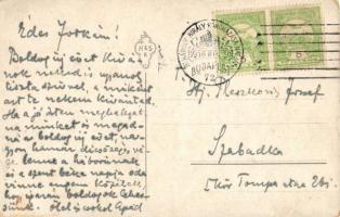 Lady with rose. litho art postcard +1916 IV. Károly király koronázása napján So. Stpl. (EK)