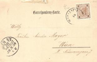 1899 Mariazell, Gasthof zur Goldenen Kanone des Franz Lang jun. / Franz Lang jun.'s hotel and i...