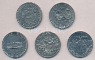 Kanada 1970-1984. 1$ Ni (5xklf) T:1-,2
Canada 1970-1984. 1 Dollar Ni (5xklf) C:AU,XF