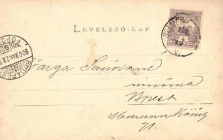 1900 Felsőróna, Horná Roven (Selmecbánya); Róza szálló / hotel. photo