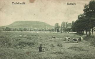 Alsóság (Celldömölk), Sághegy, szarvasmarhák. Szagán János kiadása (fa)