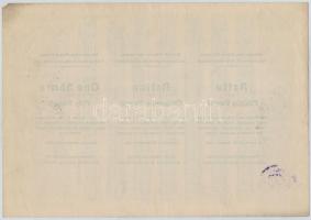 Budapest 1925. "Rimamurány-Salgó-Tarjáni Vasmű Részvény-Társaság" részvénye 50P-ről, szára...