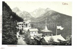 Tátra, Tarpatakfüred, Wildbad Kohlbach; Feitzinger Ede 1902/12. 489. Kr.