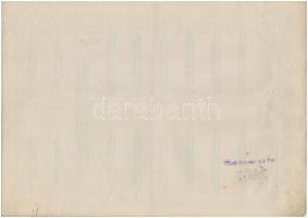 Budapest 1929. "Részvénytársaság Villamos és Közlekedési Vállalatok Számára" tíz részvénye...