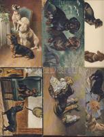 Kutyák, 28db régi képeslap