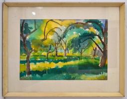 Jánossy Ferenc (1926-1983): Gyümölcsfák. Akvarell, papír, jelzett, üvegezett keretben, 33×49 cm