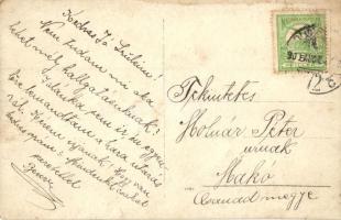 1909 Csanád, asztaltársaság csoportképe, katonatiszttel, photo