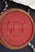 1930 Pergamen építész diploma, ép, viasz függőpecséttel