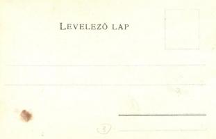 Borsod vármegye térképe. Kiadja Károlyi Gy. / Map of Borsod county (EK)