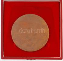 ~1970-1980. "A Munkában eltöltött évekért" egyoldalas Br plakett, eredeti tokban "Cen...