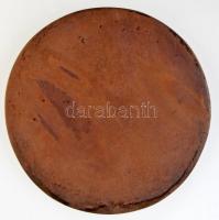 ~1970-1980. "PRO BIBLIOTHECA IN MONTE SANCRO PANNONIAE" egyoldalas Br emlékérem (87mm) T:1...