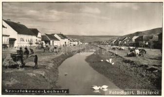 Szászlekence, Lekence, Lechnita; patak, piac / creek, market. Foto Sport