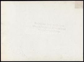 1946 Budapest, A felrobbantott Ferenc József (Szabadság) híd, "Dicsőség a szovjet hadseregnek&q...