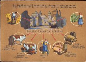 Barley production (EB)