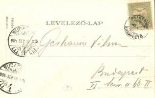 Martonvásár, Fő utca, Krausz Zsigmond üzlete