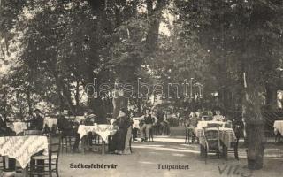 1906 Székesfehérvár, Tulipánkert vendéglő kerthelyisége. Eiser Adolf kiadása 897. (r)