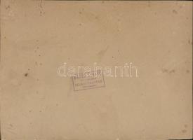 cca 1898 Selmecbánya (Felvidék), Leány színjátszók, keményhátú fotó Baker Alajos műterméből, hátolda...