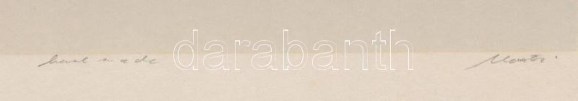 Olvashatatlan jelzéssel: Vadludak (33/180). Szitanyomat, papír, 26×22 cm