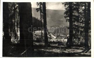 Borszék, Borsec; Villa Helvetia látkép; Heiter György udvari fényképész eredeti felvétele és kiadása látkép / landscape