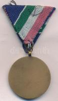 1965. "Árvízvédelemért Érem" Br kitüntetés mellszalagon, eredeti tokban T:1-,2 
NMK 663