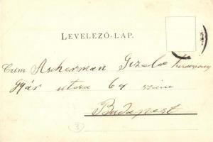 Ráckeve, Szilágyi Lajos lak, villa, kastély (EK)