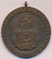 1967. Kisújszállás város 250. évfordulójára 1717-1967 egyoldalas, ezüstözött fém emlékérem füllel. Szign.: P (50mm) T:2 kis patina