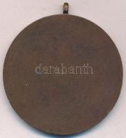 1967. "Kisújszállás város 250. évfordulójára 1717-1967" egyoldalas, ezüstözött fém emlékér...