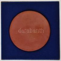 DN "Kiváló Propagandista" kerámia plakett, eredeti tokban (100mm) T:1-,2