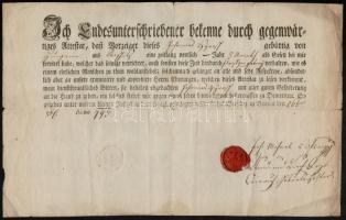 1793 Versec, német nyelvű igazolás orvos tanonc részére, viaszpecséttel, hajtás mentén szakadással