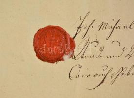1793 Versec, német nyelvű igazolás orvos tanonc részére, viaszpecséttel, hajtás mentén szakadással