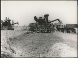 cca 1970 Mórahalom, vidéki életképek, városképek, 11 db korabeli fotó, 18x24 cm