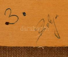 Bólyai Krisztina (?-): Csábító tekintet III. Olaj, vászon, hátul jelzett, 70×60 cm