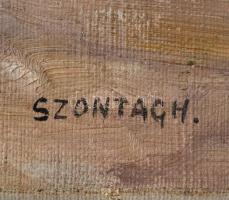 Szontágh Tibor (1873-1930): Falusi utca, olaj, vászon, jelzett, javított, 50×60 cm