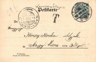 1901 Vienna, Wien IX. Probst-Pfarrkirche z. göttl. Heiland, Votivkirche / church. C. Ledermann jr. 1...