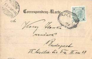 1900 Vienna, Wien I. Franzens-Ring / street view. C. Ledermann jr. 158 F (EK)