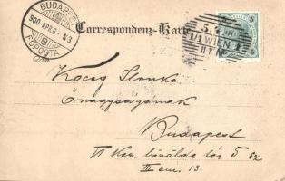 1900 Vienna, Wien I. Franzens-Ring / street view, shops, trams. C. Ledermann jr. 219 F (EK)