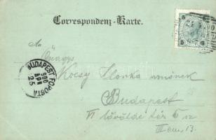 1900 Vienna, Wien XIII. K. k. Lustschloß Schönbrunn mit Vorpark / palace, castle, park. C. Ledermann...