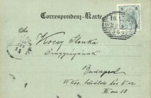 1900 Vienna, Wien I.  K. k. Hof-Museen und k. k. Volksgarten / museum at night, park, garden. C. Led...