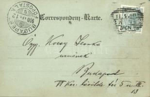 1900 Vienna, Wien I. K. k. naturhistorisches Hof-Museum und Kaiserin Maria Theresia Monument / museu...