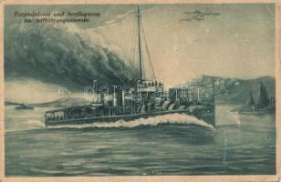 Torpedoboot und Seeflugzeug im Aufklärungsdienste / Austro-Hungarian Navy torpedo boat, airplane (EK)